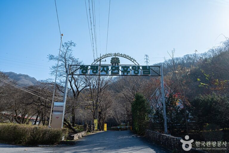 [京畿道] 清平自然休養林（청평자연휴양림）