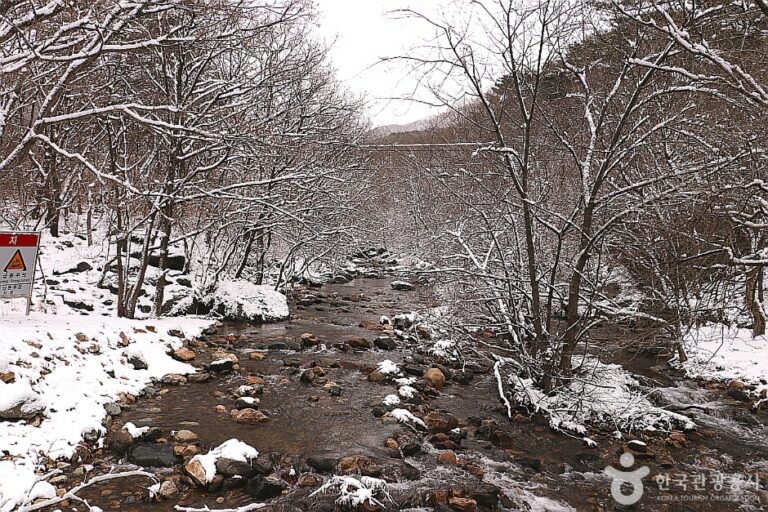 [京畿道] 舍那寺渓谷（사나사계곡）