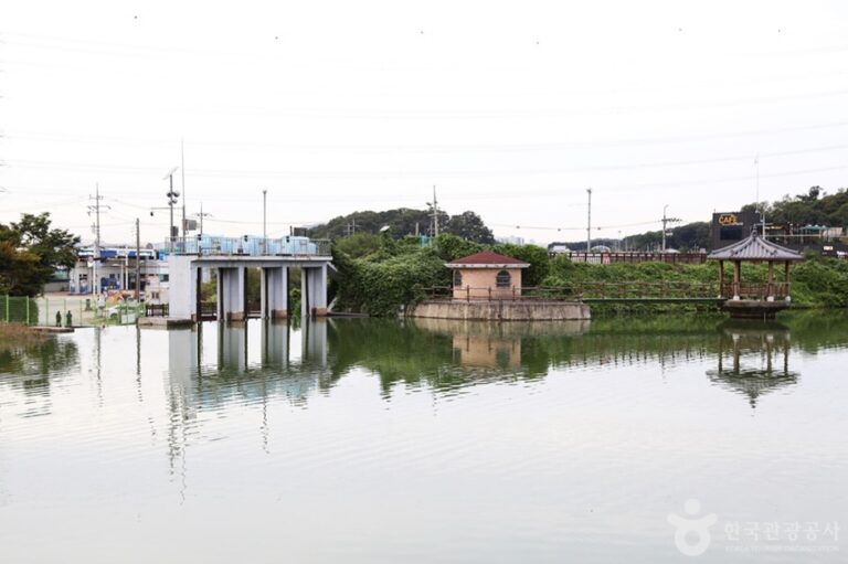 [京畿道] 物旺湖（물왕호수）