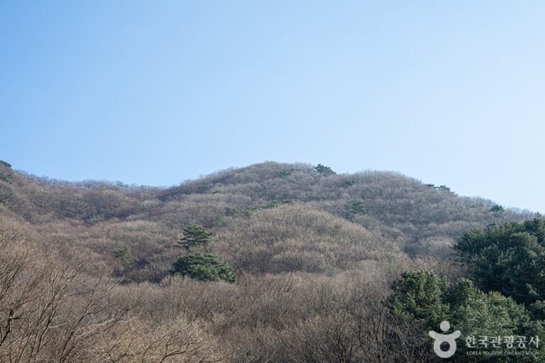 [京畿道] 祝霊山（축령산）