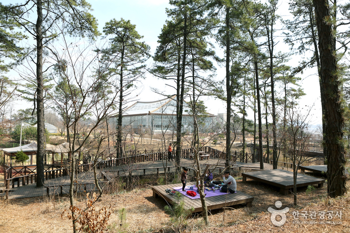 [京畿道] 華城市ウリ花植物園（화성시 우리꽃 식물원）