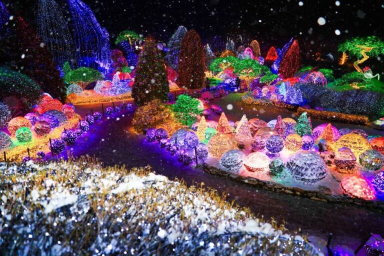 [京畿道] アチムゴヨ樹木園五色ピョルピッ庭園展（아침고요수목원 오색별빛정원전）