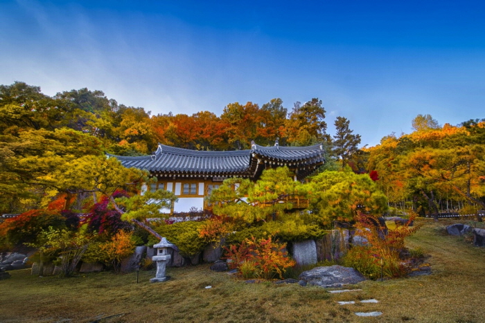 [京畿道] 朝鮮王家（農業会社法人朝鮮王家株式会社）(조선왕가(농업회사법인 조선왕가 주식회사)