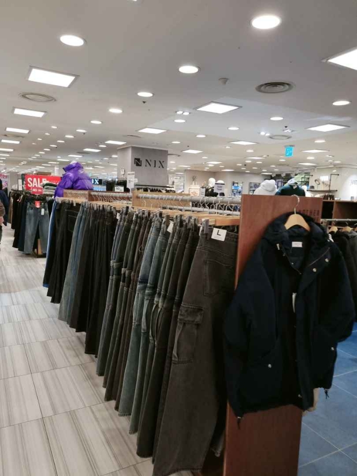 [京畿道] [事後免税店] NYX・ニューコアピョンチョン（坪村）（닉스 뉴코아 평촌）