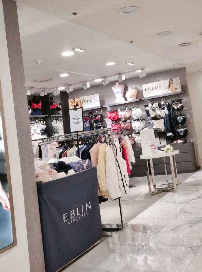 [京畿道] [事後免税店] EBLIN（エブリン）・ニューコアピョンチョン（坪村）（에블린 뉴코아 평촌）