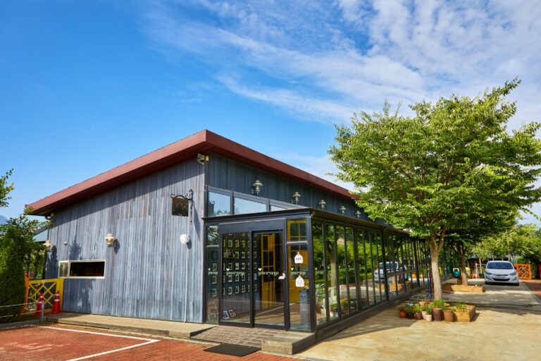 [京畿道] green mango（그린망고）