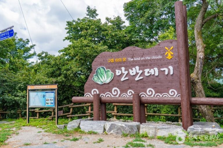 [江原道] アンバンデギ（안반데기）