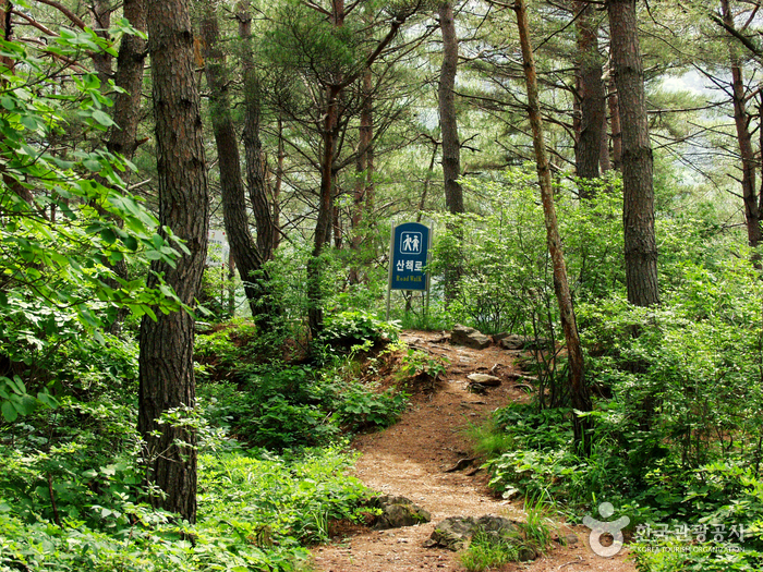 [江原道] 没雲台（旌善）（몰운대（정선））