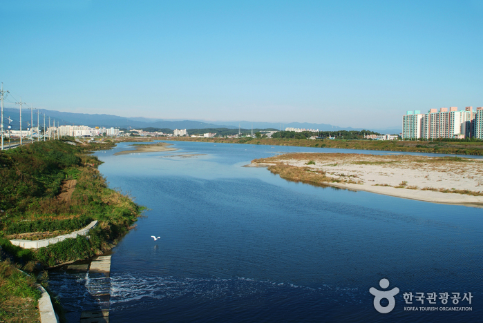 [江原道] 南大川（江陵）（남대천（강릉））