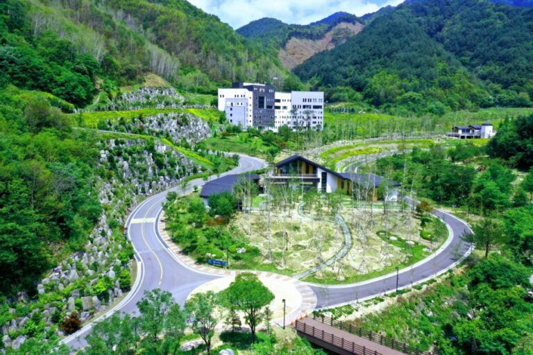 [江原道] ハイヒーリング・ワン (산림힐링재단(하이힐링원))