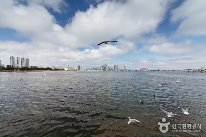 [江原道] 青草湖（청초호）