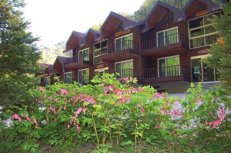 [江原道] 国立米川谷自然休養林（국립 미천골자연휴양림）