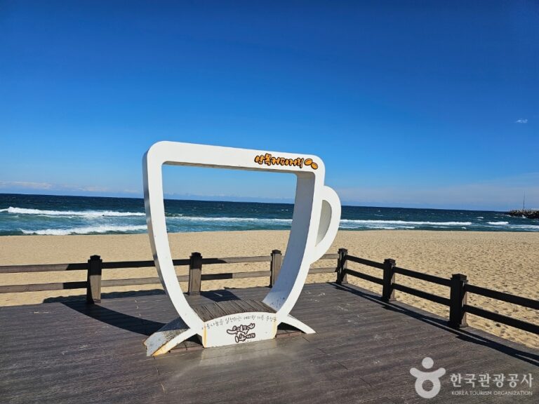 [江原道] 江陵コーヒー通り（강릉커피거리）