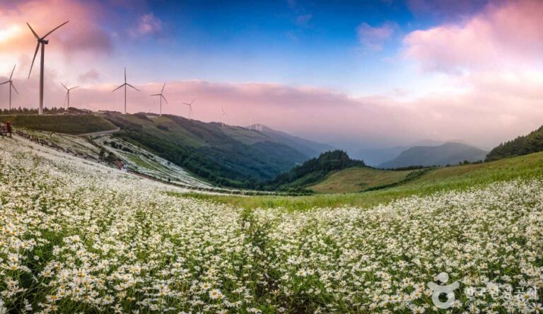 [江原道] 平昌ユクペンマジギ（평창 육백마지기）
