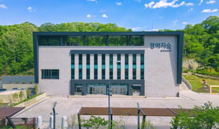 [江原道] 犬の森（강아지숲）