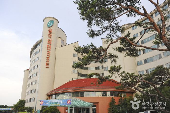 [江原道] 雪岳パインリゾート（설악파인리조트）