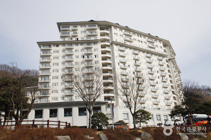 [江原道] Elysian江村リゾート（엘리시안 강촌 리조트）