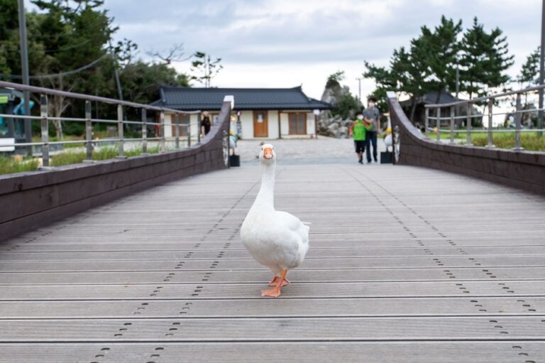 [江原道] 湫岩海辺（추암해변）