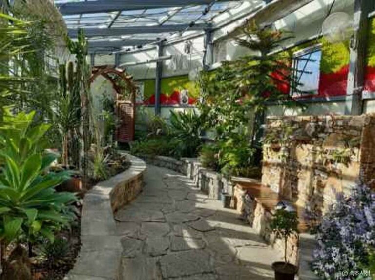 [江原道] 雪岳山自生植物園（설악산 자생식물원）