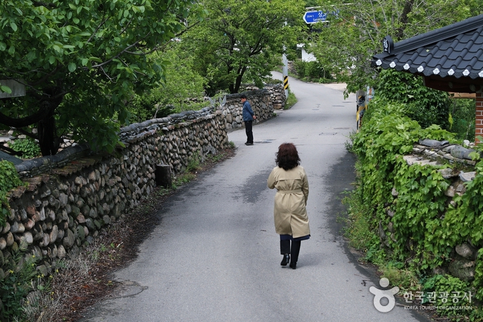 [江原道] 上道門石垣村（상도문돌담마을）