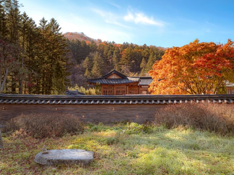 [江原道] 月精寺・月精寺モミ林（월정사·월정사 전나무숲）