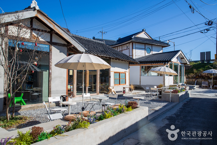 [江原道] 江陵溟州洞通り（강릉 명주동 거리）