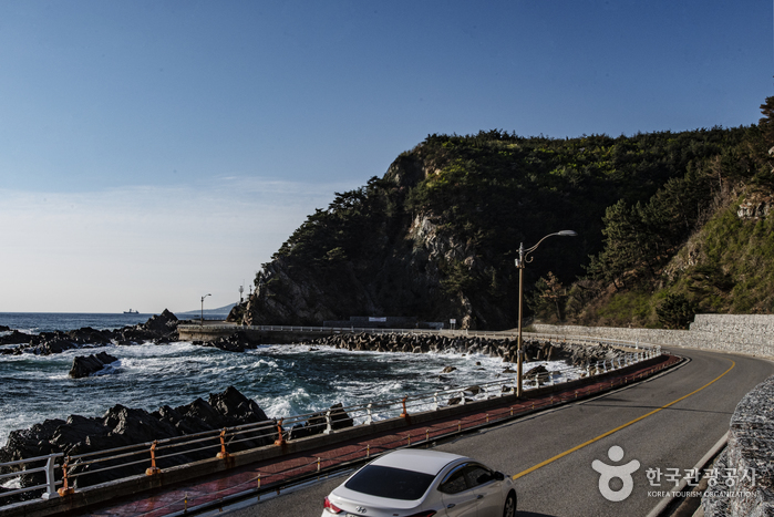 [江原道] 献花路（헌화로）