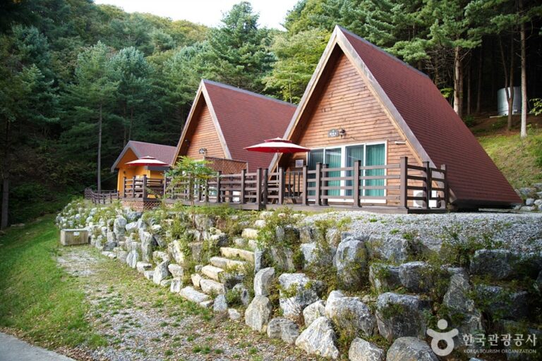 [江原道] 雉岳山自然休養林（치악산자연휴양림）