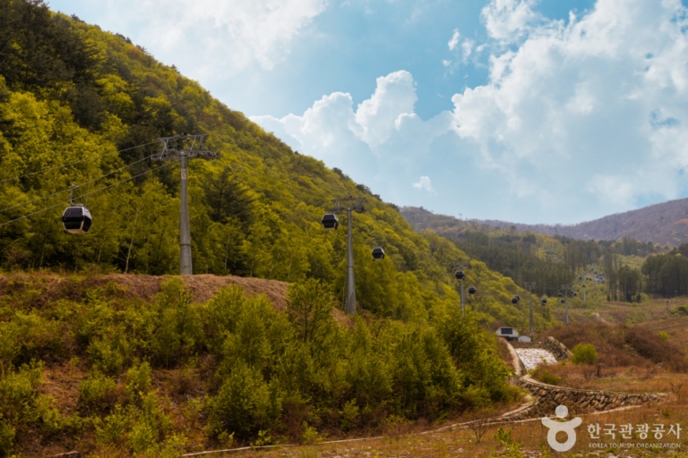 [江原道] 加里王山（가리왕산）