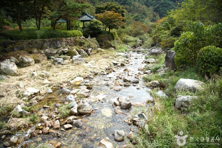 [江原道] 金垈渓谷（금대계곡）