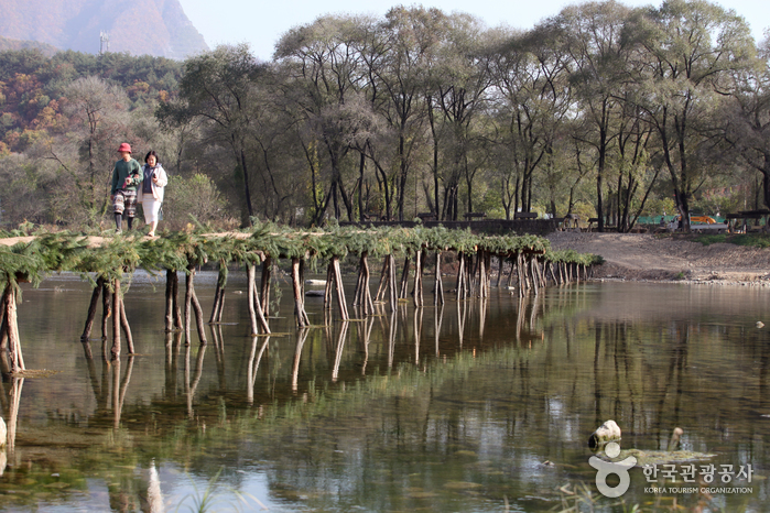 [江原道] 寧越柴の橋村（영월 섶다리 마을）