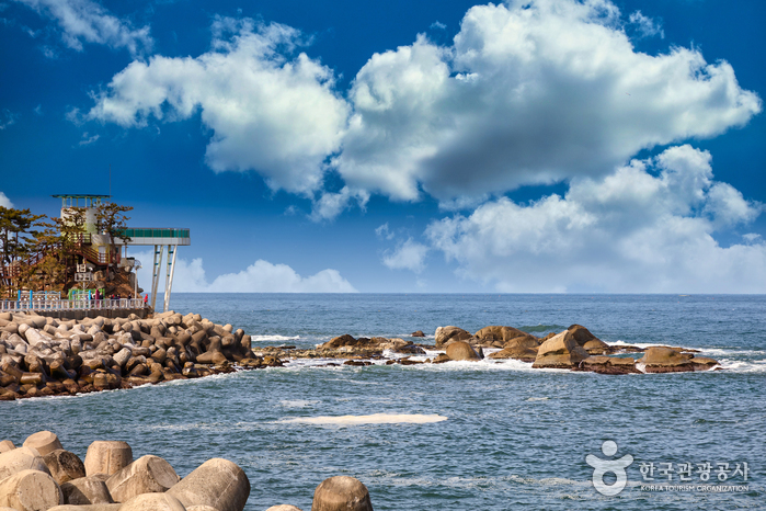 [江原道] 南涯港（남애항）