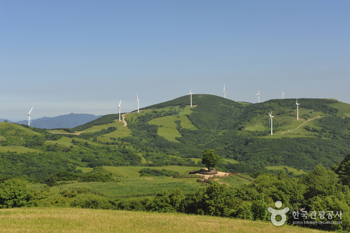 [江原道] 大関嶺観光特区（대관령 관광특구）