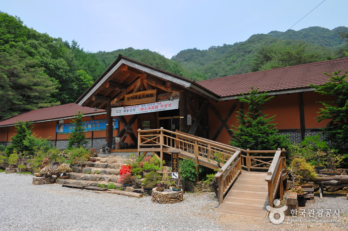 [江原道] 朝鮮民画博物館（조선민화박물관）