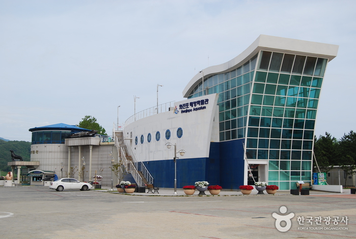 [江原道] 花津浦海洋博物館（화진포 해양박물관）