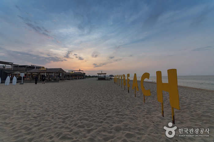 [江原道] サーフィービーチ、サーフィン（襄陽）（서피비치, 서핑（양양））