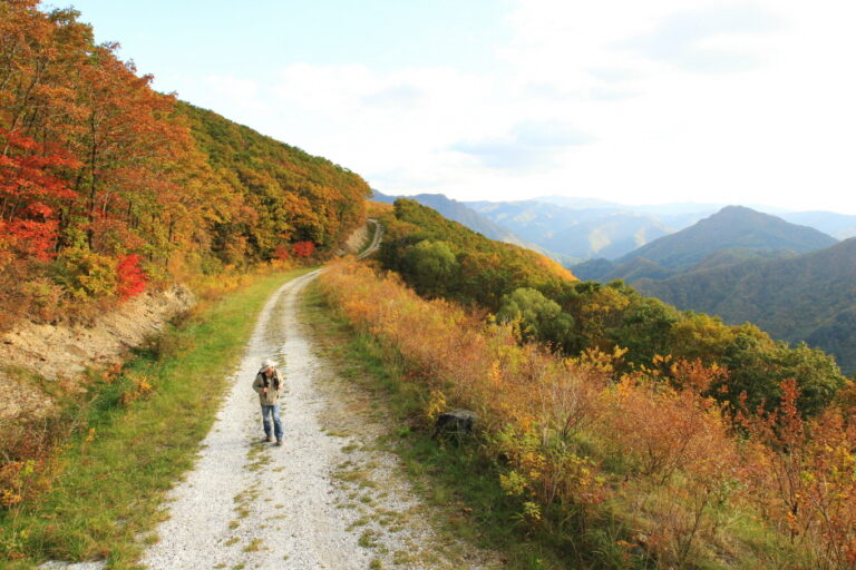 [江原道] ハイワンハヌルギルトレッキング（하이원 하늘길 트레킹）