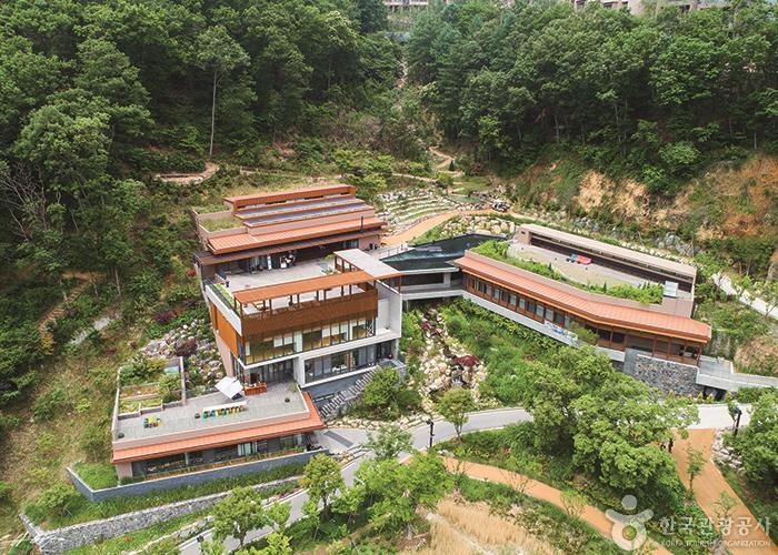 [江原道] ヒーリエンス・ソン村 (힐리언스 선마을)