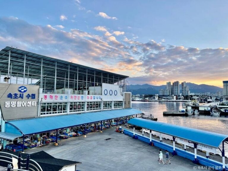 [江原道] 東明活魚センター（동명활어센터）