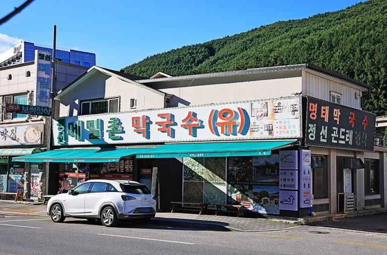 [江原道] メミル村マッククス（메밀촌막국수）