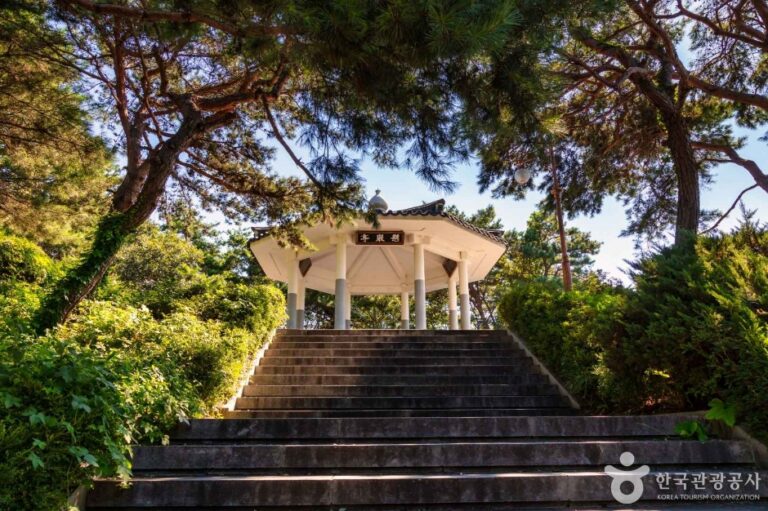 [忠清北道] 大清ダム展望台（대청댐 전망대）