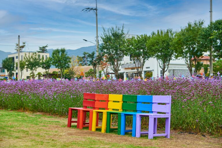 [忠清北道] 茅山飛行場（모산비행장）