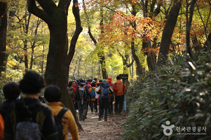 [忠清北道] 俗離山国立公園（忠清北道）（속리산국립공원（충북））