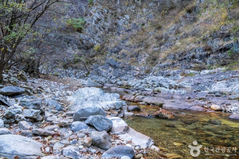 [忠清北道] 南川渓谷（남천계곡）