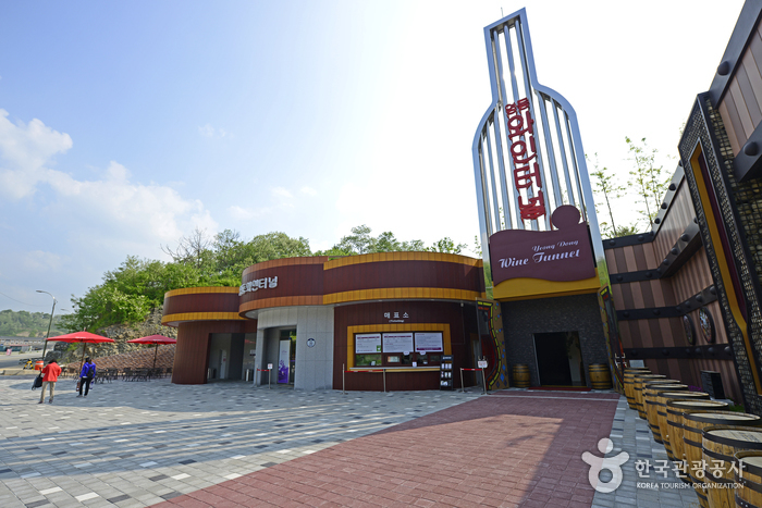 [忠清北道] 永同ワイントンネル（영동 와인터널）