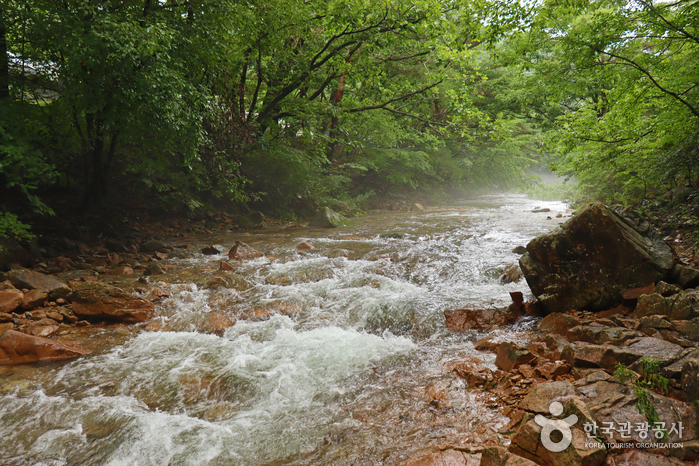 [忠清北道] 万寿渓谷（만수계곡）