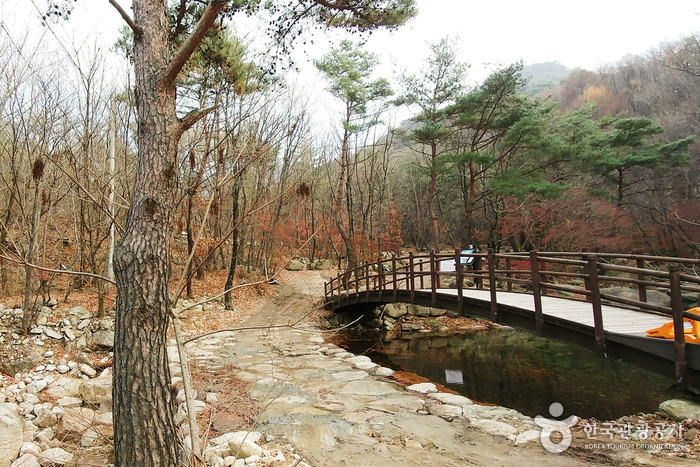 [忠清北道] 月岳山国立公園（월악산국립공원）
