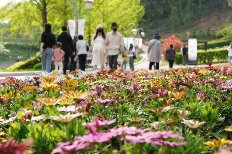 [忠清北道] 青南台春の花祭り迎春祭（청남대 봄꽃축제 영춘제）