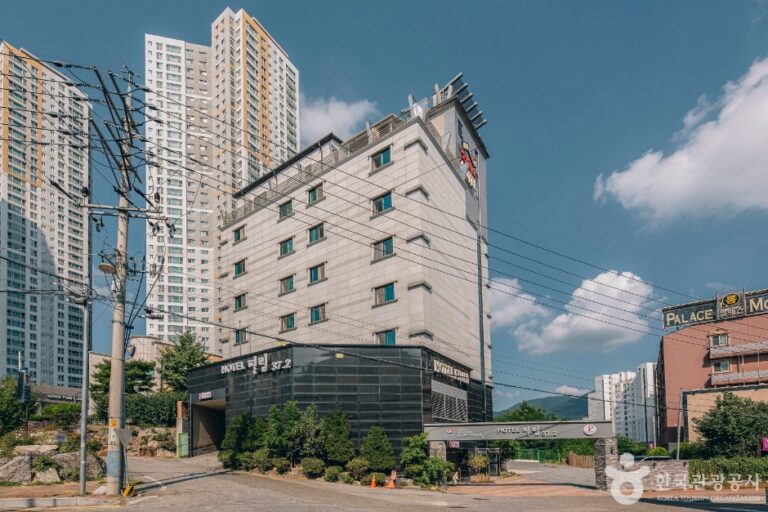 [忠清北道] ホテルフィルム37。2（호텔 필림37.2）