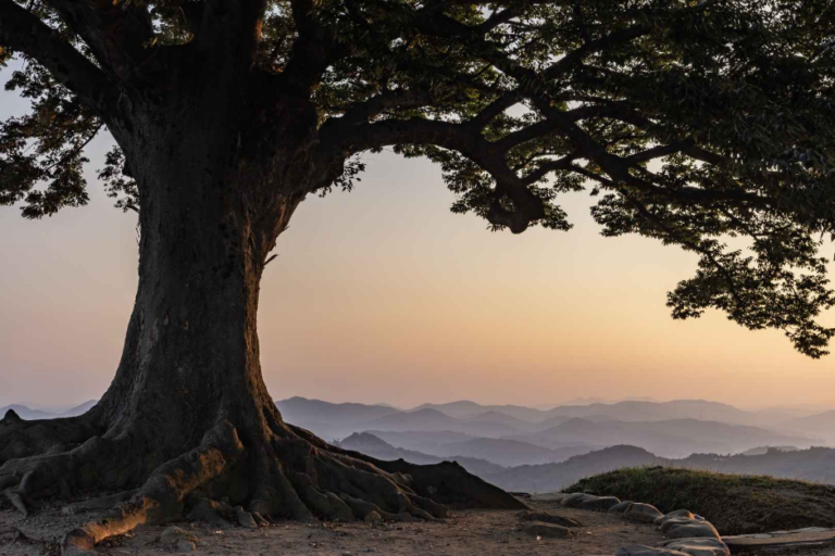 [忠清南道] 扶余 加林城（부여 가림성）
